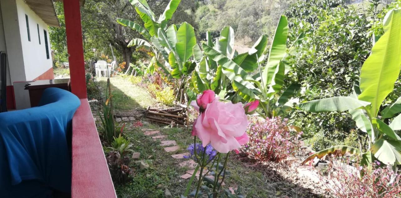 Finca Umnisa Choachí Exterior foto